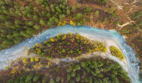 Valoração ambiental: métodos, insights e ação de políticas